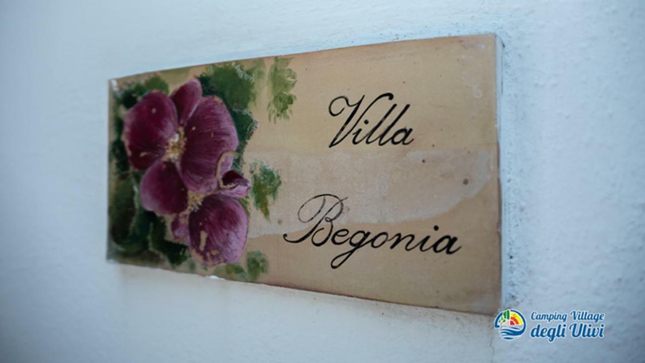 Camping Village Degli Ulivi Mattinata Exteriér fotografie