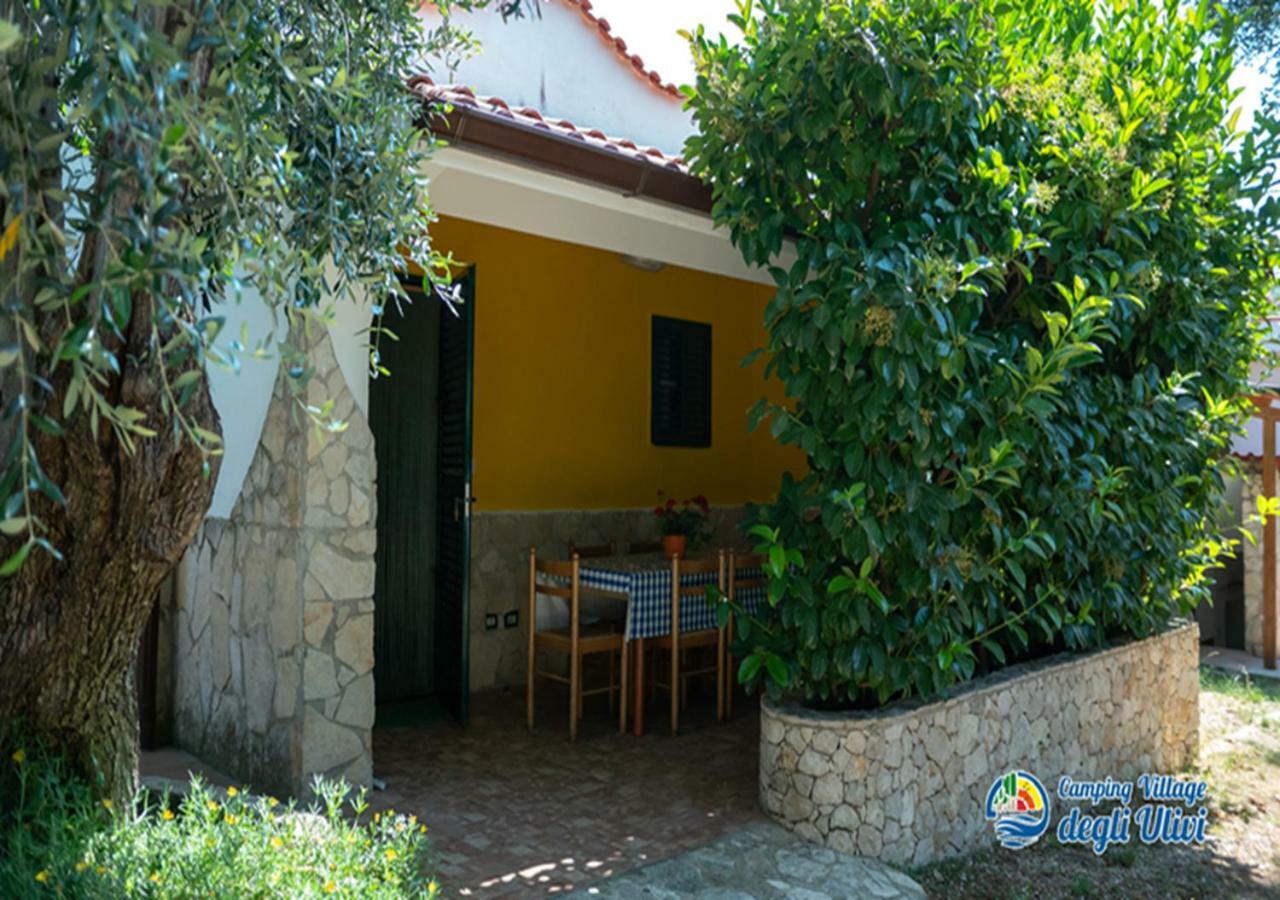 Camping Village Degli Ulivi Mattinata Exteriér fotografie