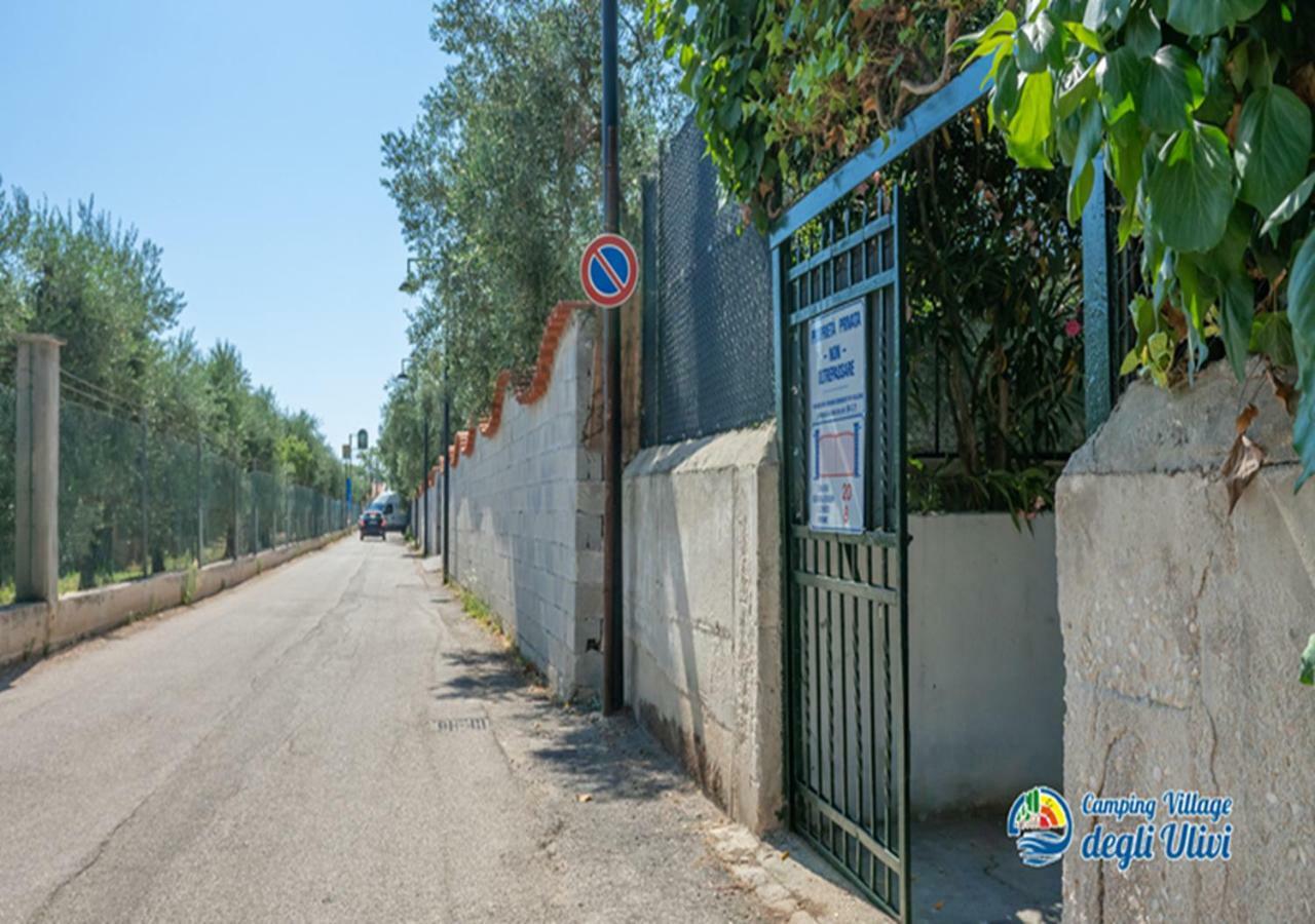 Camping Village Degli Ulivi Mattinata Exteriér fotografie