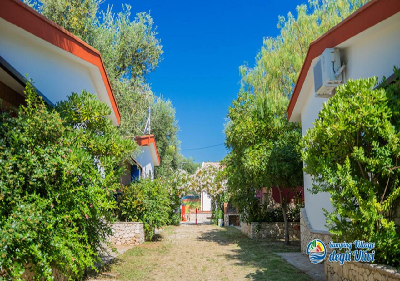 Camping Village Degli Ulivi Mattinata Exteriér fotografie
