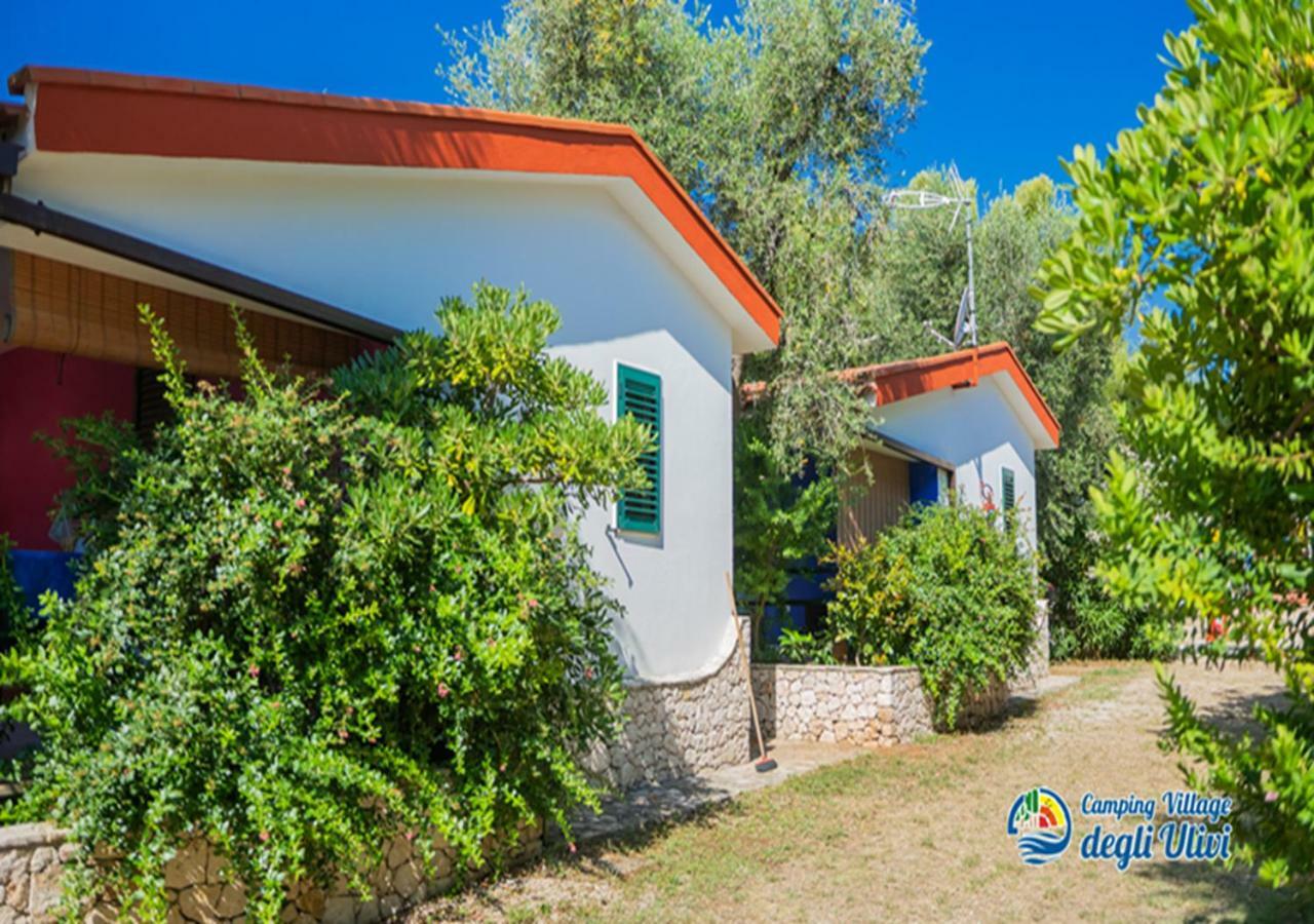 Camping Village Degli Ulivi Mattinata Exteriér fotografie
