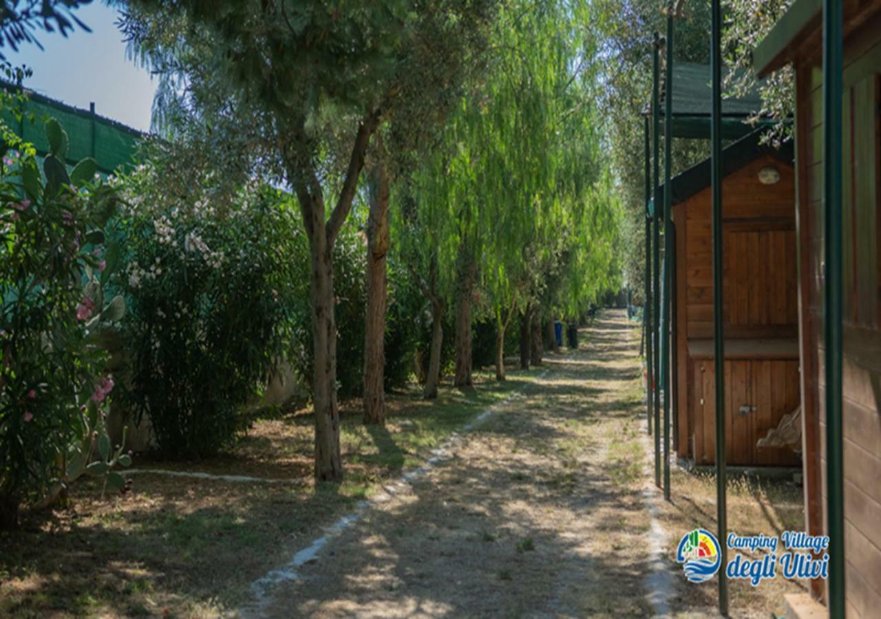 Camping Village Degli Ulivi Mattinata Exteriér fotografie