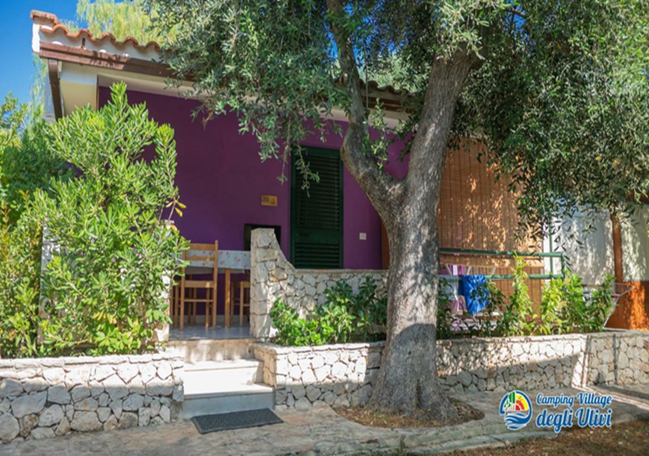 Camping Village Degli Ulivi Mattinata Exteriér fotografie