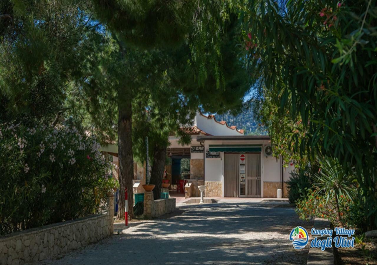 Camping Village Degli Ulivi Mattinata Exteriér fotografie