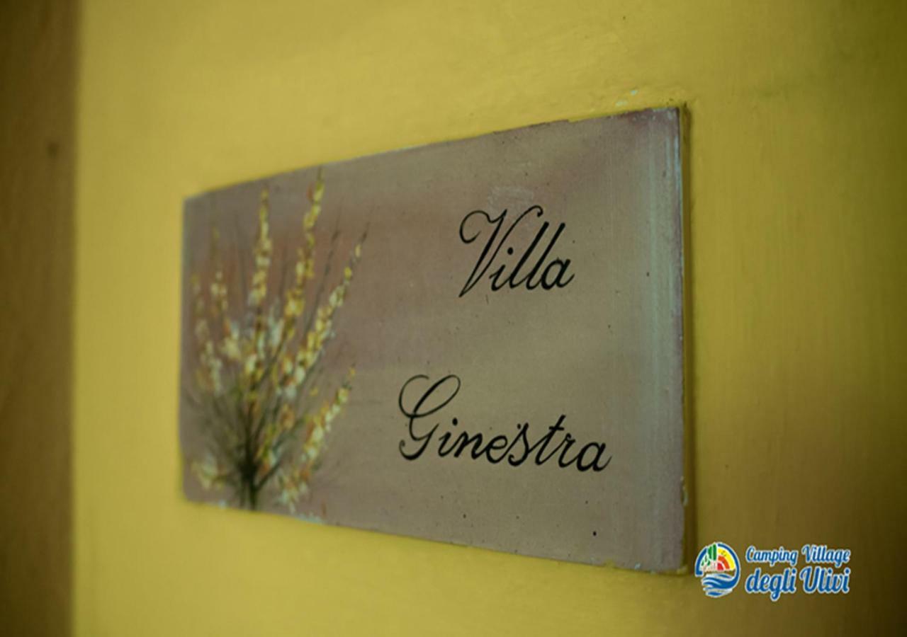 Camping Village Degli Ulivi Mattinata Exteriér fotografie